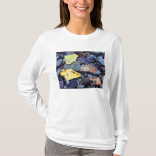 Blatt der Fremont-Pappel auf der Überschwemmungseb T-Shirt