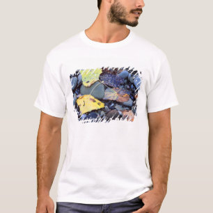 Blatt der Fremont-Pappel auf der Überschwemmungseb T-Shirt