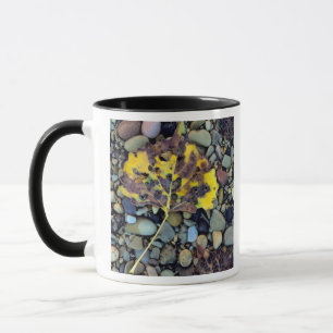 Blatt der Fremont-Pappel in der Überschwemmungsebe Tasse