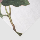 Blatt für rosa Rose-Junk-Zeitschriften Seidenpapier (Ausschnitt)