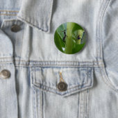 Blatt-füßiger Wanze ~ Knopf Button (Beispiel)