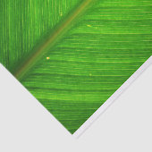 Blatt-Gewebe Seidenpapier (Ausschnitt)