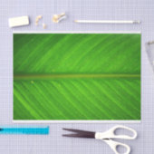 Blatt-Gewebe Seidenpapier (Handwerk)