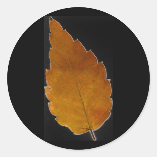 Blatt III Runder Aufkleber (Vorderseite)