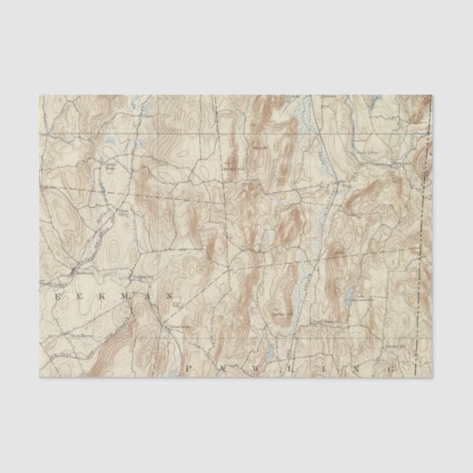 Blatt mit 15 Nelken Seidenpapier (Vorderseite)