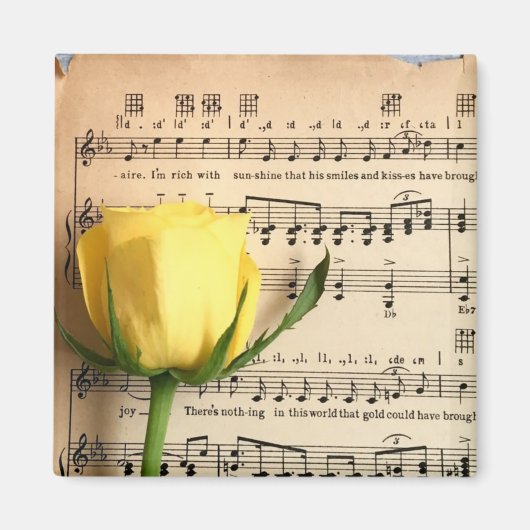 Blatt Music Yellow Rose Magnet (Vorne)