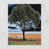 Blatt Papier für den See Beac Solo Tree (Vorderseite)