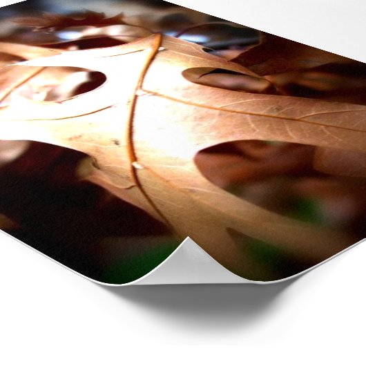 Blatt... Poster (Ecke)