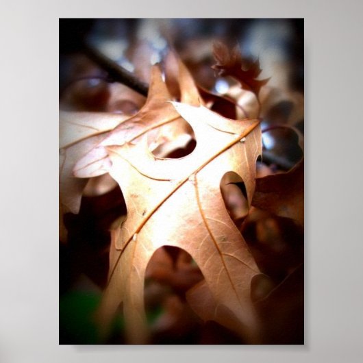 Blatt... Poster (Vorne)