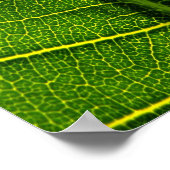 Blatt Poster (Ecke)