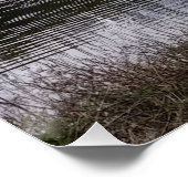 Blatt-Poster drucken. 20x20. Colorado. Poster (Ecke)