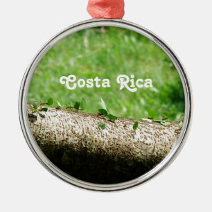 Blatt-Schneider-Ameisen in Costa Rica Ornament Aus Metall