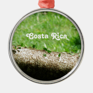 Blatt-Schneider-Ameisen in Costa Rica Ornament Aus Metall