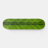 Blatt Skateboard (Horizontal)