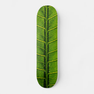 Blatt Skateboard