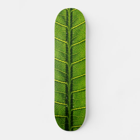 Blatt Skateboard (Vorderseite)