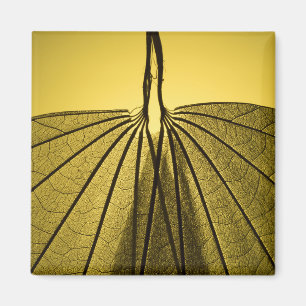 Blatt-Skelett Magnet