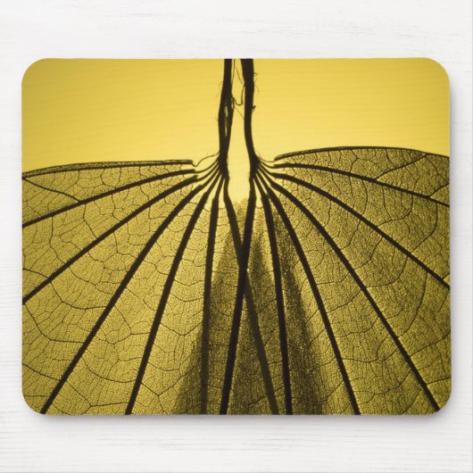 Blatt-Skelett Mousepad (Vorne)