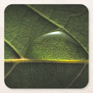 Blatt-Tröpfchen Rechteckiger Pappuntersetzer