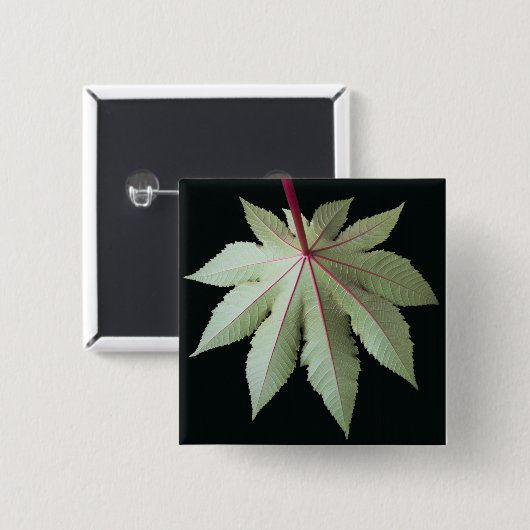 Blatt und Stamm Button (Vorne & Hinten)