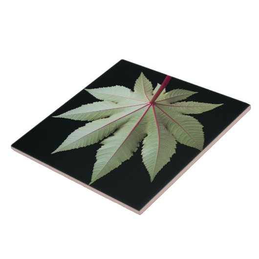 Blatt und Stamm Fliese (Seite)