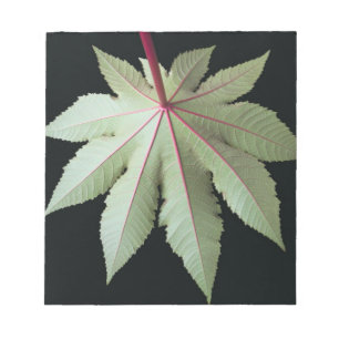 Blatt und Stamm Notizblock