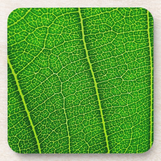 Blatt Untersetzer (Vorderseite)