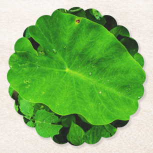 Blatt Untersetzer