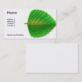 Blatt Visitenkarte (Vorne/Hinten)