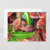 Blätter 3253 Danke, Postcard Postkarte (Vorne/Hinten)