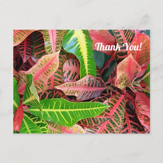 Blätter 3253 Danke, Postcard Postkarte (Vorderseite)