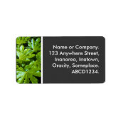 Blätter Adressaufkleber (Vorne)