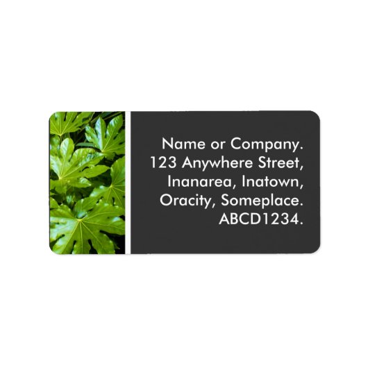 Blätter Adressaufkleber (Vorne)