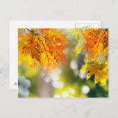 Blätter an den Ästen im Herbstwald Postkarte (Vorne/Hinten)