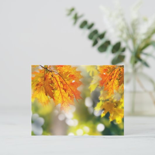 Blätter an den Ästen im Herbstwald Postkarte (Stehend Vorderseite)