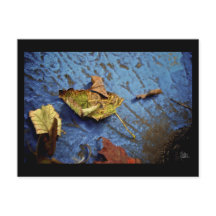Blätter auf Blau [Postkarte]
