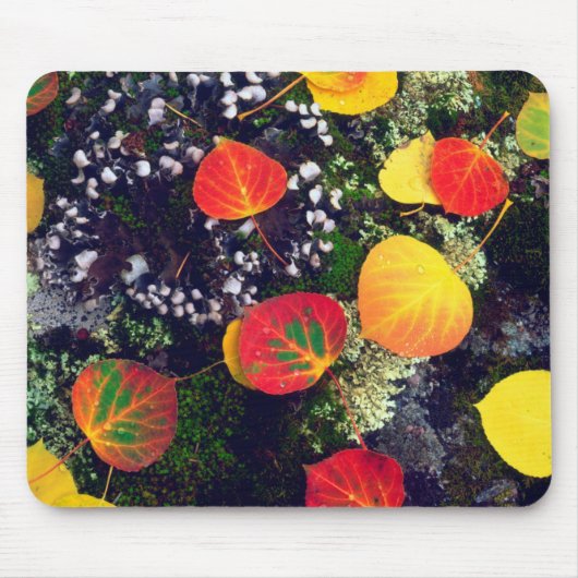 Blätter auf einem Flechten-Felsen, Felsgebirge Mousepad (Vorne)