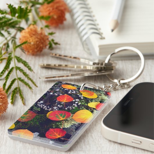 Blätter auf einem Flechten-Felsen, Felsgebirge Schlüsselanhänger (Vorderseite rechts)