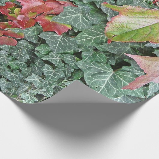 Blätter aus Efeu in Rot im Herbst Geschenkpapier (Ecke)