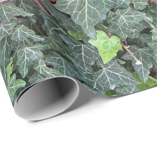 Blätter aus Efeu in Rot im Herbst Geschenkpapier (Rolleneckpunkt)