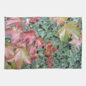 Blätter aus Efeu in Rot im Herbst Küchentuch (Horizontal)