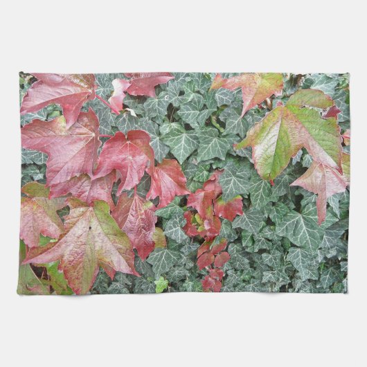 Blätter aus Efeu in Rot im Herbst Küchentuch (Horizontal)