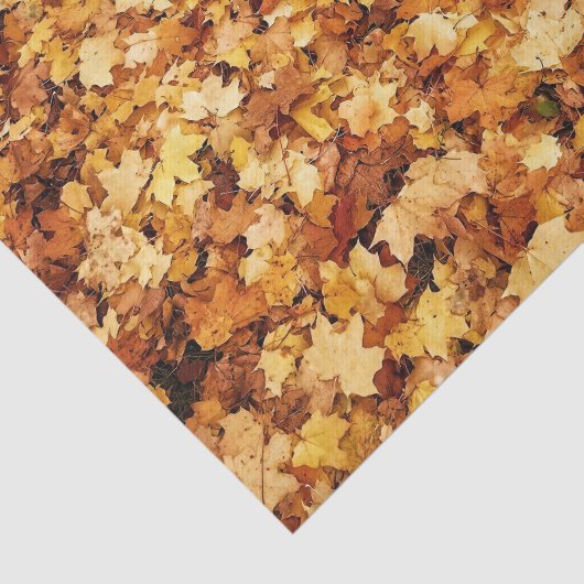 Blätter aus gelbem Fall Seidenpapier (Ausschnitt)