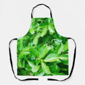 Blätter aus grünem Kautschuk, Schürze für Volldruc (Vorderseite)