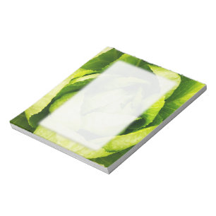 Blätter aus grünem Salat mit Regentropfen Notizblock