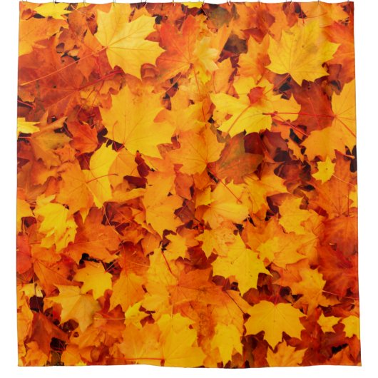 Blätter aus Herbstblättern Duschvorhang (Vorderseite)