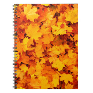 Blätter aus Herbstblättern Notizblock