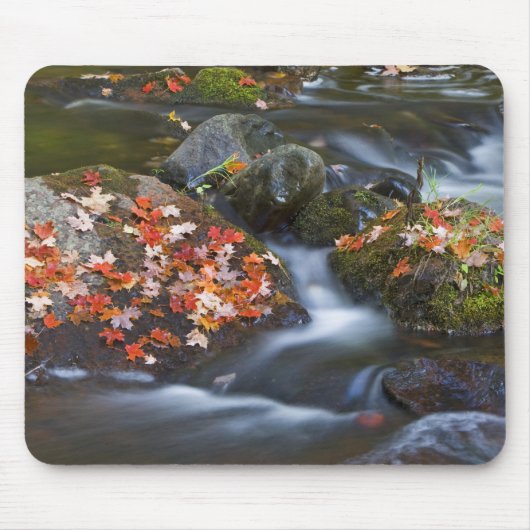 Blätter aus rotem Ahorn Teppichboden in den Felsen Mousepad (Vorne)