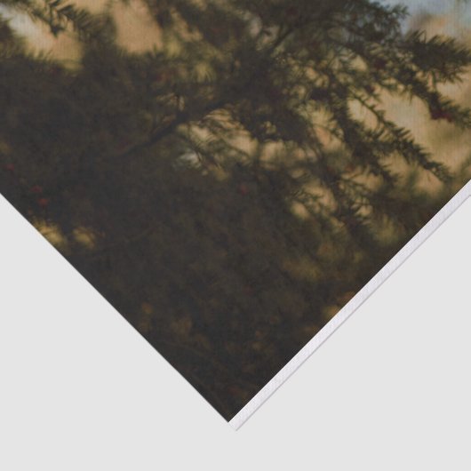 Blätter aus schönem Blattwerk Seidenpapier (Ausschnitt)