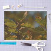 Blätter aus schönem Blattwerk Seidenpapier (Handwerk)